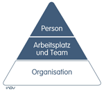 organisation